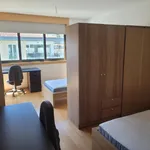 Alugar 3 quarto apartamento em Coimbra