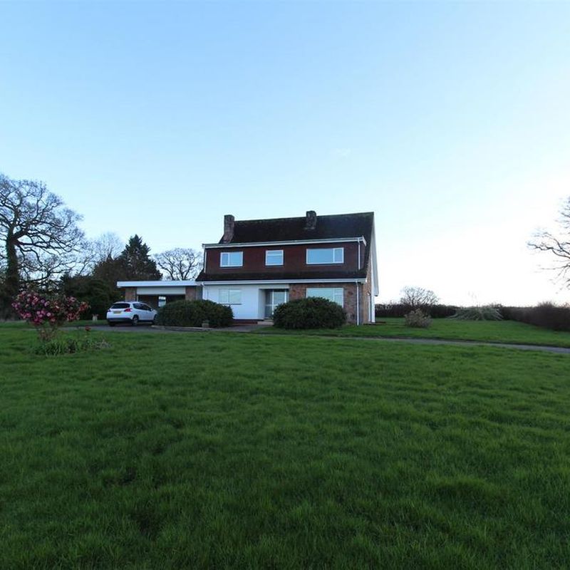 Talaton, Exeter 4 bed detached house to rent - £1,950 pcm (£450 pw)