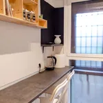 Rent 1 bedroom apartment of 45 m² in rome