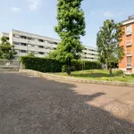 Rent 6 bedroom apartment in Milan