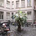 Rent 1 bedroom apartment in Antwerpen