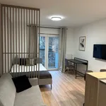 Rent 1 bedroom apartment of 28 m² in Lodz