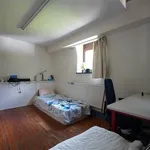 Rent 1 bedroom apartment in NAMUR