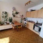 Rent 1 bedroom apartment of 36 m² in Brno