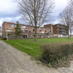 Jan Bijhouwerstraat, IJsselstein - Amsterdam Apartments for Rent