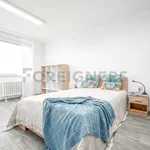 Rent 1 bedroom apartment of 20 m² in Hradec Králové