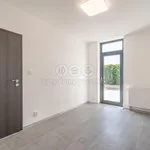 Rent 1 bedroom house of 287 m² in Prague