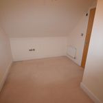 Rent 1 bedroom flat in New Forest