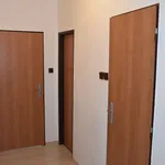 Rent 1 bedroom apartment of 40 m² in Pilsen