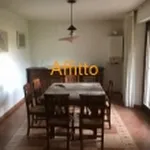 Rent 3 bedroom apartment of 120 m² in  L' Aquila                        