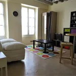 Rent 1 bedroom apartment of 22 m² in ORLEANS