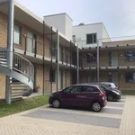 Rent 3 bedroom apartment of 70 m² in Geleen