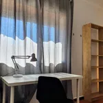 Rent 5 bedroom apartment in Coimbra