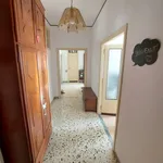 Rent 3 bedroom apartment of 92 m² in Roma