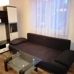 Rent 1 bedroom apartment of 43 m² in Brno