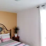 Rent 3 bedroom apartment of 50 m² in Amélie-les-Bains-Palalda