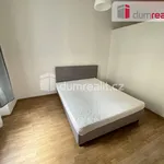 Rent 2 bedroom apartment of 35 m² in Praha