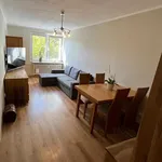 Rent 1 bedroom apartment of 39 m² in Poznan