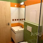 Rent 1 bedroom apartment of 41 m² in Písek