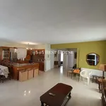 Rent 1 bedroom apartment in Thessaloniki