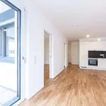 Rent 3 bedroom apartment of 53 m² in von