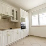 Rent 3 bedroom apartment of 143 m² in Budapest