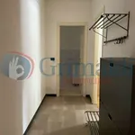 Rent 3 bedroom apartment of 89 m² in Turin