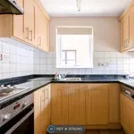 Rent 3 bedroom flat in London