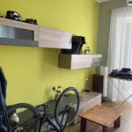 Rent 3 bedroom apartment of 60 m² in Turin