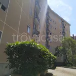 Rent 3 bedroom apartment of 80 m² in Torino