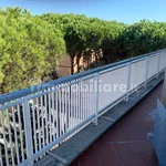 Rent 3 bedroom house of 52 m² in Rome