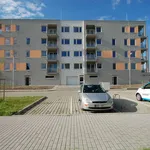 Pronajměte si 4 ložnic/e byt o rozloze 84 m² v Velký Osek