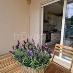 Rent 2 bedroom apartment of 45 m² in Termoli