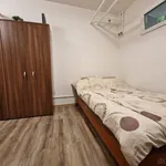 Rent 1 bedroom house in Brno