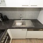 Rent 2 bedroom apartment of 45 m² in Graz