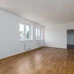 Pronajměte si 2 ložnic/e byt o rozloze 66 m² v Pilsen