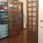 Rent 1 bedroom house of 18 m² in Pisa