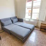 Rent 1 bedroom apartment of 50 m² in bologna