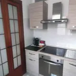 Rent 1 bedroom house of 42 m² in Milan