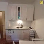 Rent 1 bedroom apartment of 27 m² in Železná Ruda