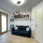 Rent 2 bedroom apartment of 53 m² in Milan