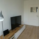 Rent 3 bedroom apartment of 75 m² in Köln