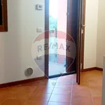 Rent 2 bedroom apartment of 50 m² in Ferrara