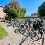 Rent 2 bedroom apartment of 45 m² in Ferrara