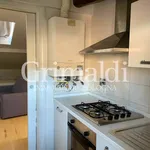 Rent 1 bedroom apartment of 42 m² in Bologna