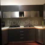 Rent 3 bedroom apartment of 140 m² in Rovigo