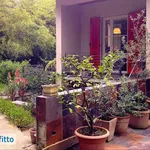 Rent 2 bedroom house of 35 m² in Florence