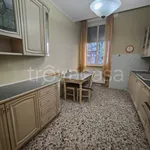 Rent 2 bedroom apartment of 58 m² in Saronno