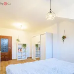 Rent 2 bedroom apartment of 39 m² in Plzeň