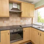 Rent 3 bedroom house in Norwich